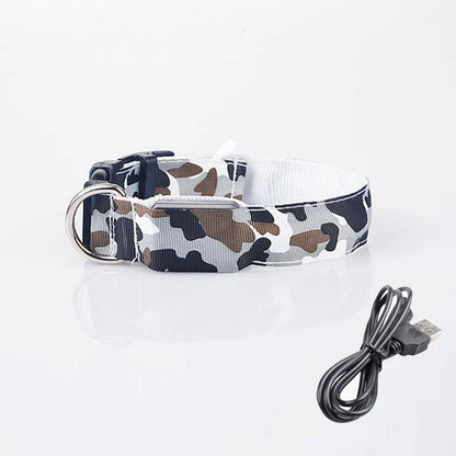 Collier chien lumineux-Camouflage LED