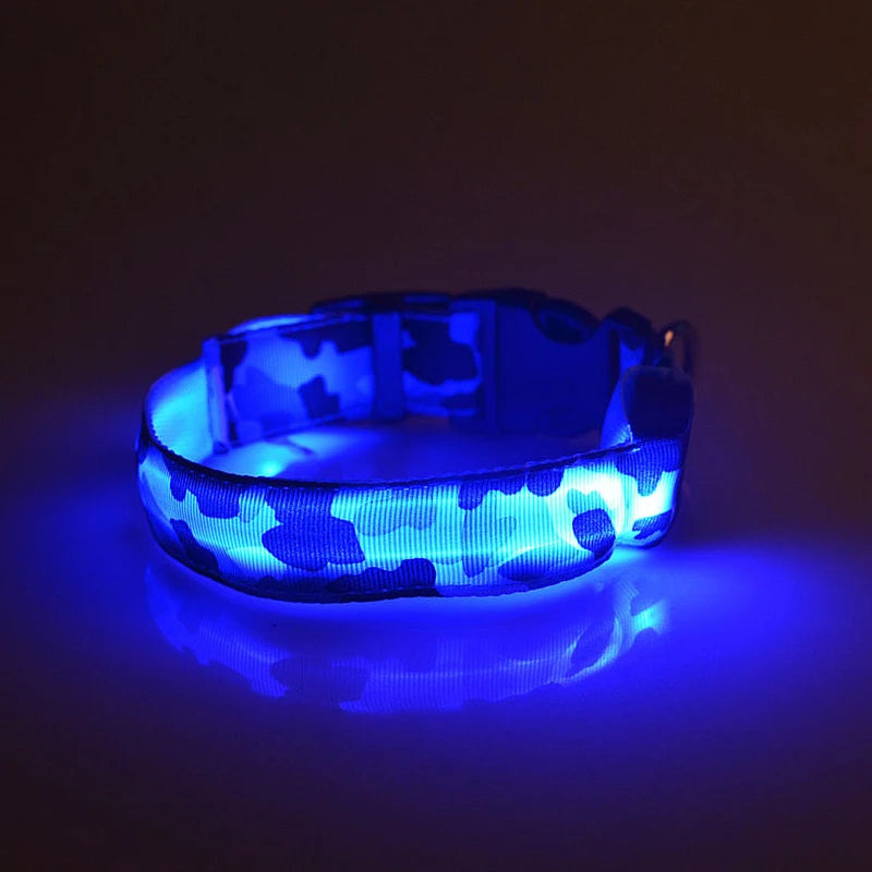 Collier chien lumineux-Camouflage LED