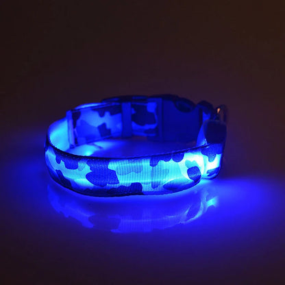 Collier chien lumineux-Camouflage LED