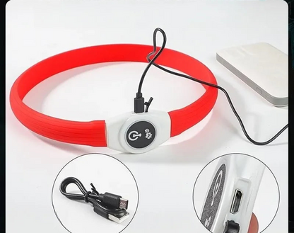 Collier lumineux chien | SafetyNight