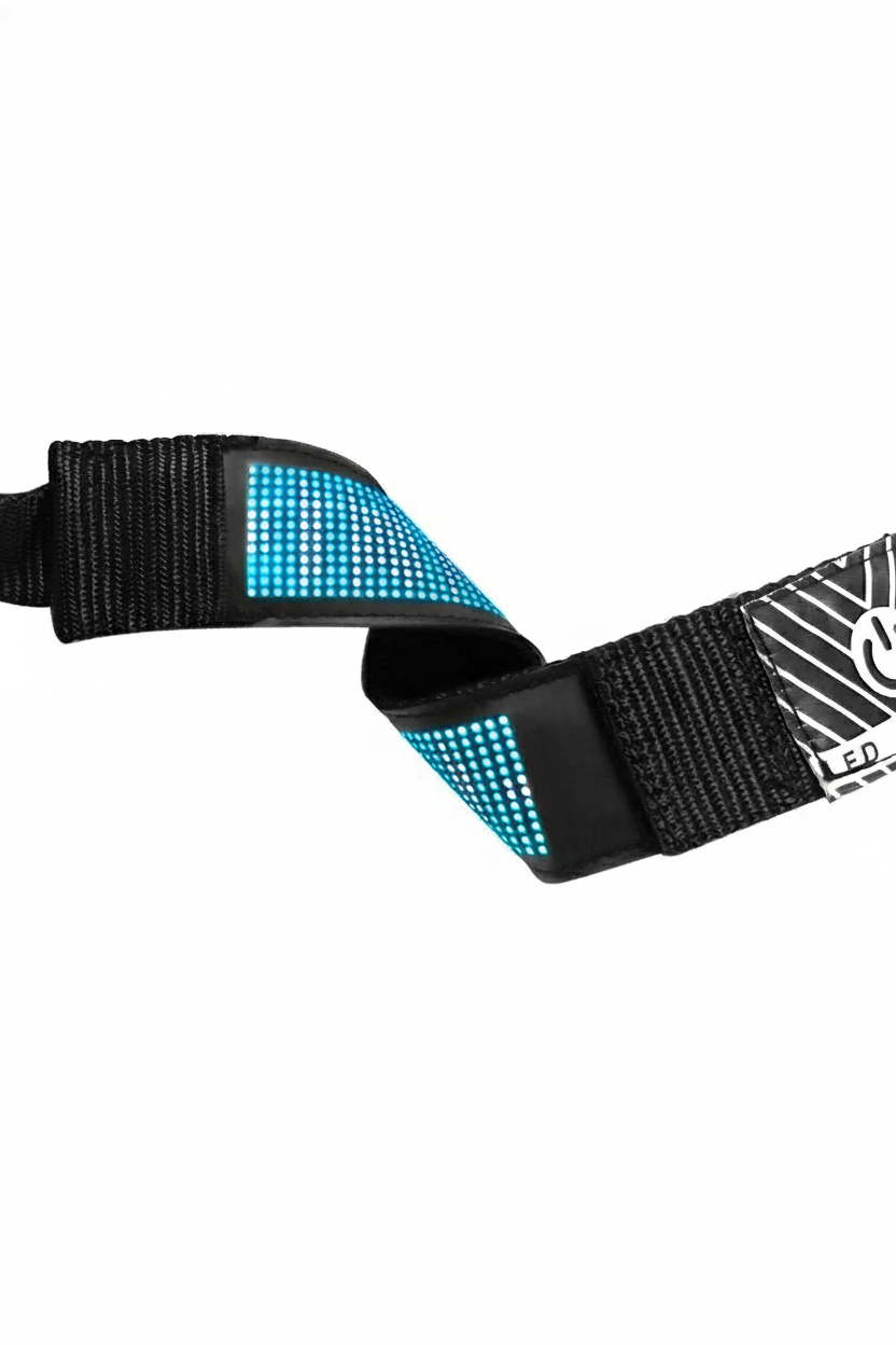 Chien collier lumineux | SafePet