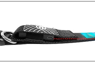 Chien collier lumineux | SafePet