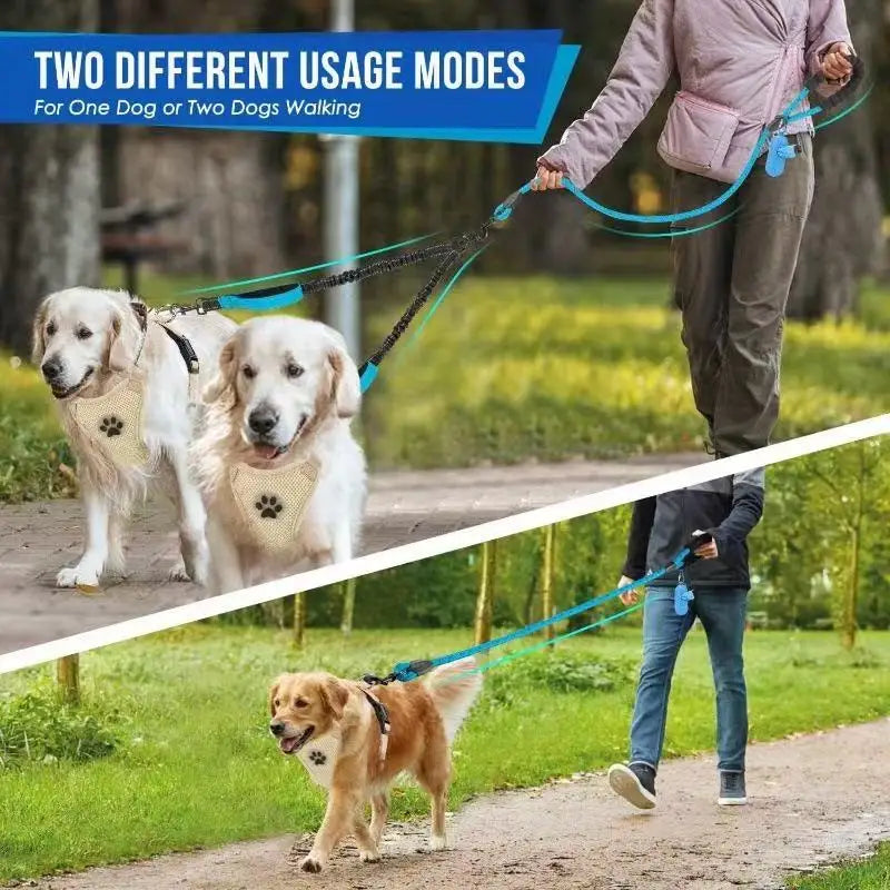 Laisse pour chien- Double 360 Swivel