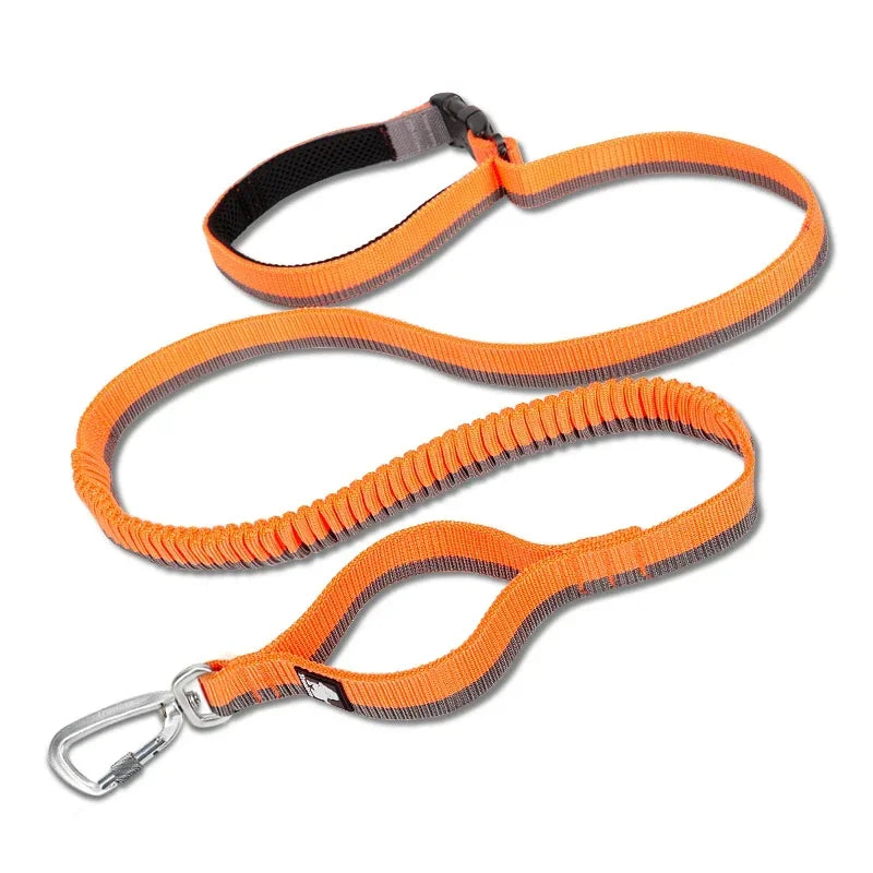 Laisse pour chien- TRUELOVE Carabiner