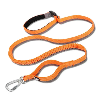 Laisse pour chien- TRUELOVE Carabiner