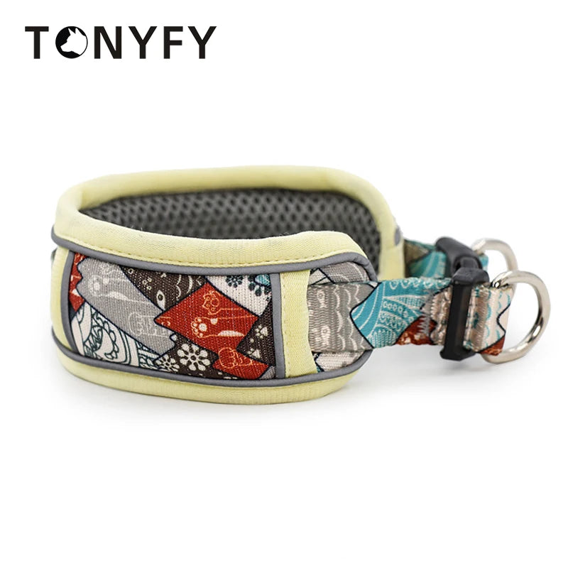 Collier de dressage pour chien- Confortable Extensible
