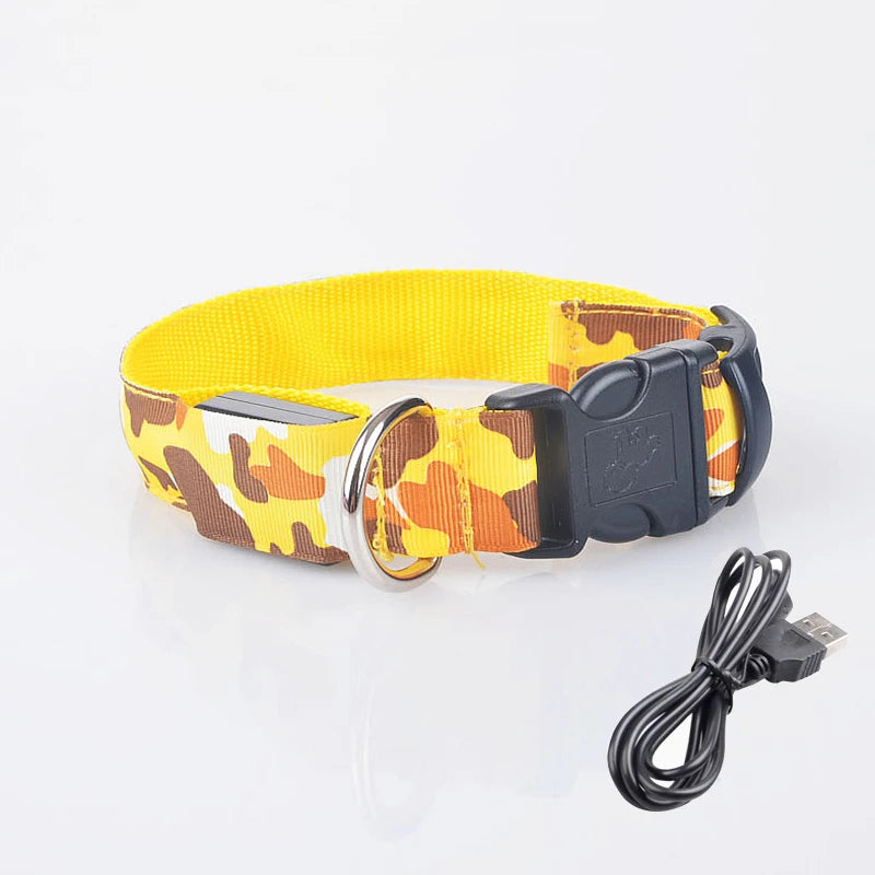 Collier chien lumineux-Camouflage LED