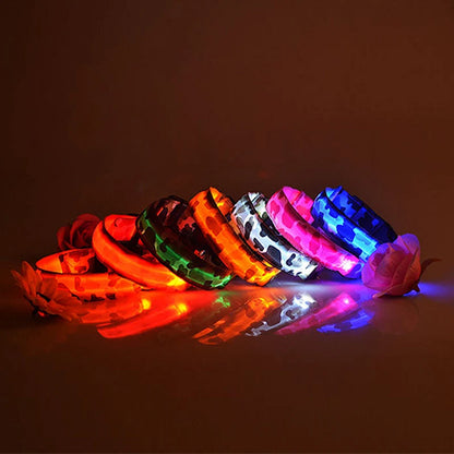 Collier chien lumineux-Camouflage LED