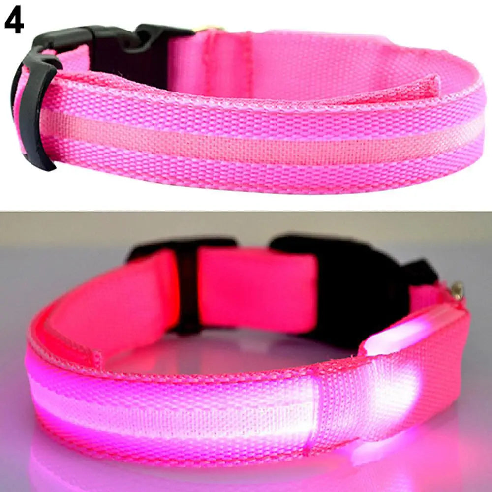 Collier Chien LEDCollarDog™