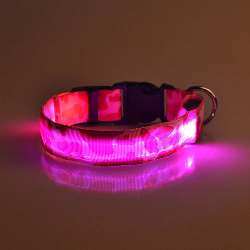 Collier chien lumineux-Camouflage LED