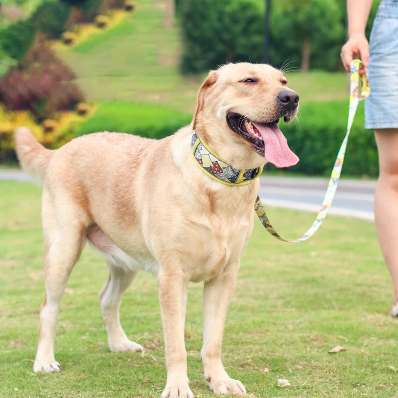 Collier de dressage pour chien- Confortable Extensible