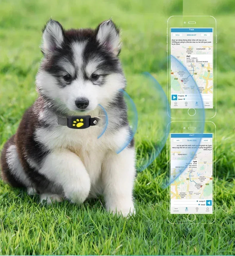 Collier GPS pour chien- Anti-Loss Real-Time Tracking