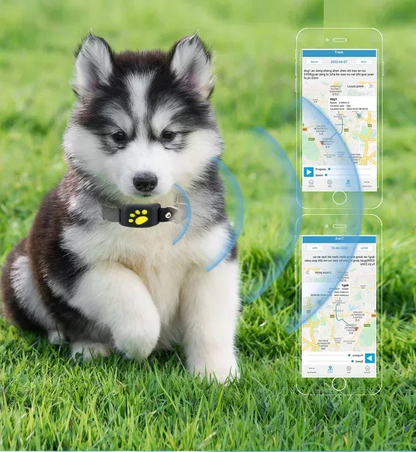Collier GPS pour chien- Anti-Loss Real-Time Tracking