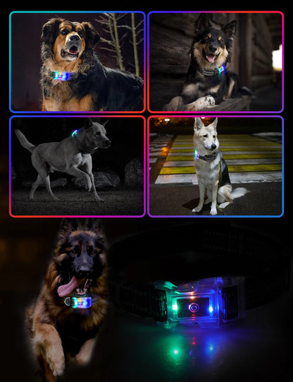 Collier chien lumineux-Collier-Anti-Perte-LED