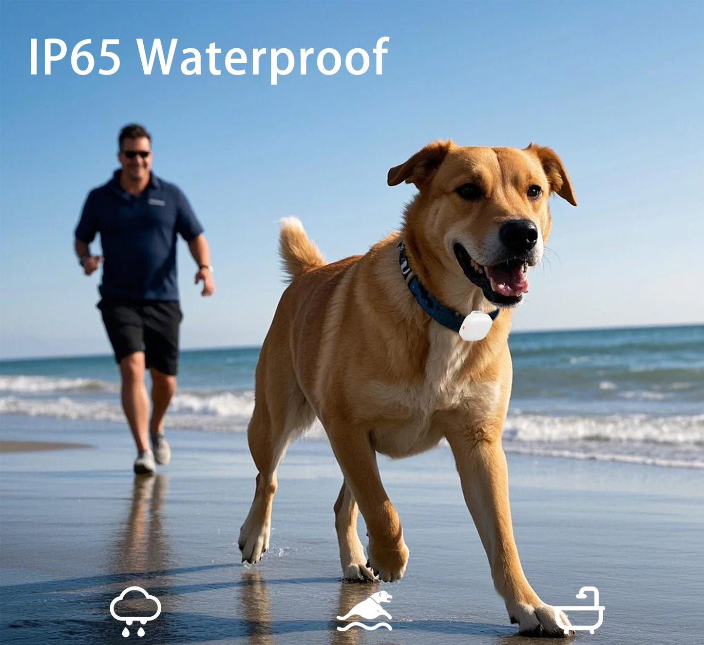 Collier anti aboiement chien | Vibradouceur