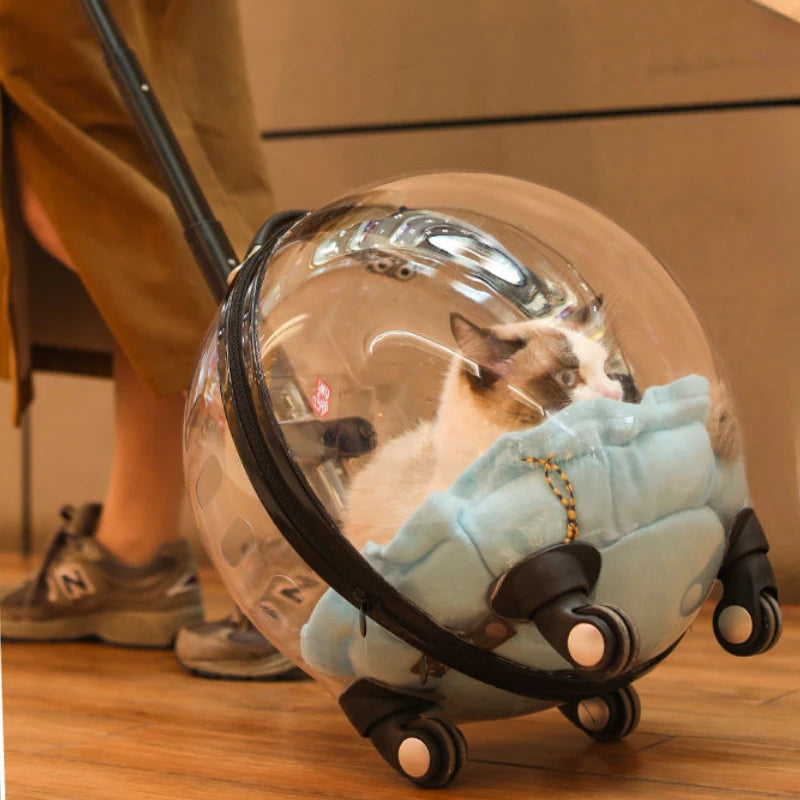 Cage de transport chien- Bulle transparente