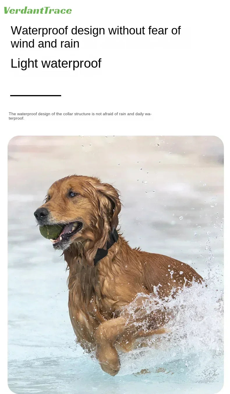 collier gps chien- Global Locator