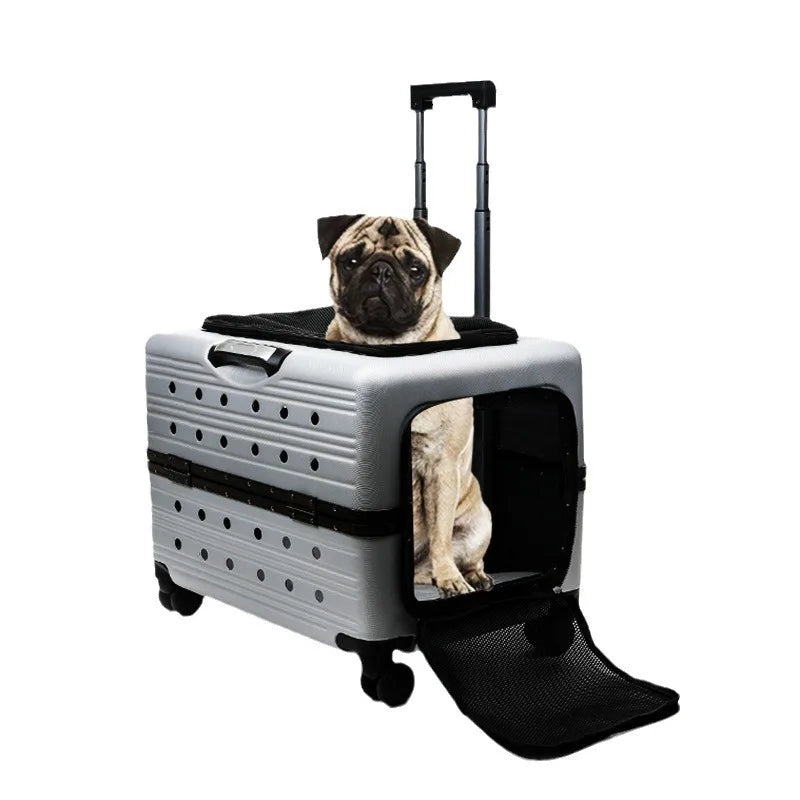 Cage pour chien- NIOPEPPA Suitcase Transparent