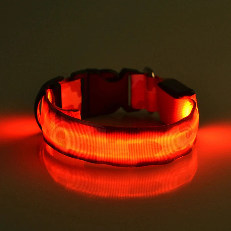 Collier chien lumineux-Camouflage LED