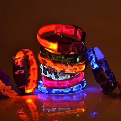 Collier chien lumineux-Camouflage LED