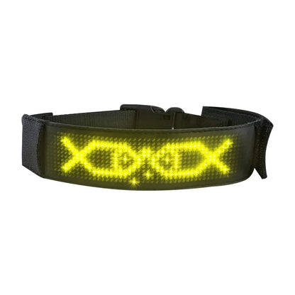 Chien collier lumineux | SafePet