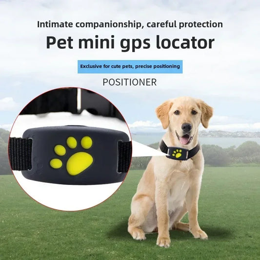Collier GPS pour chien- Anti-Loss Real-Time Tracking
