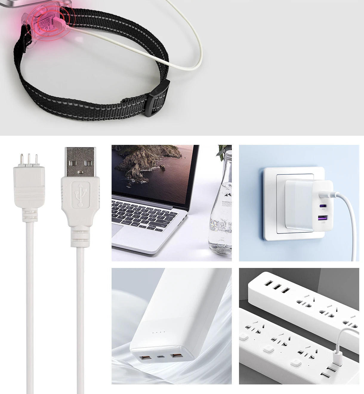 Collier chien lumineux-Collier-Anti-Perte-LED