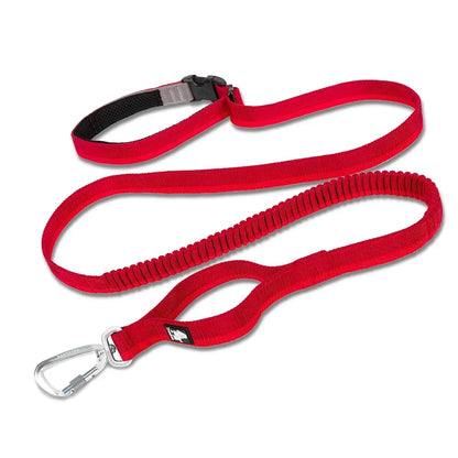 Laisse pour chien- TRUELOVE Carabiner