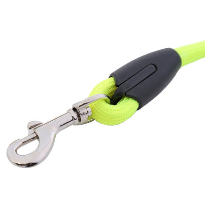 Laisse de chien- Laisse corde pour chien Arc en Ciel