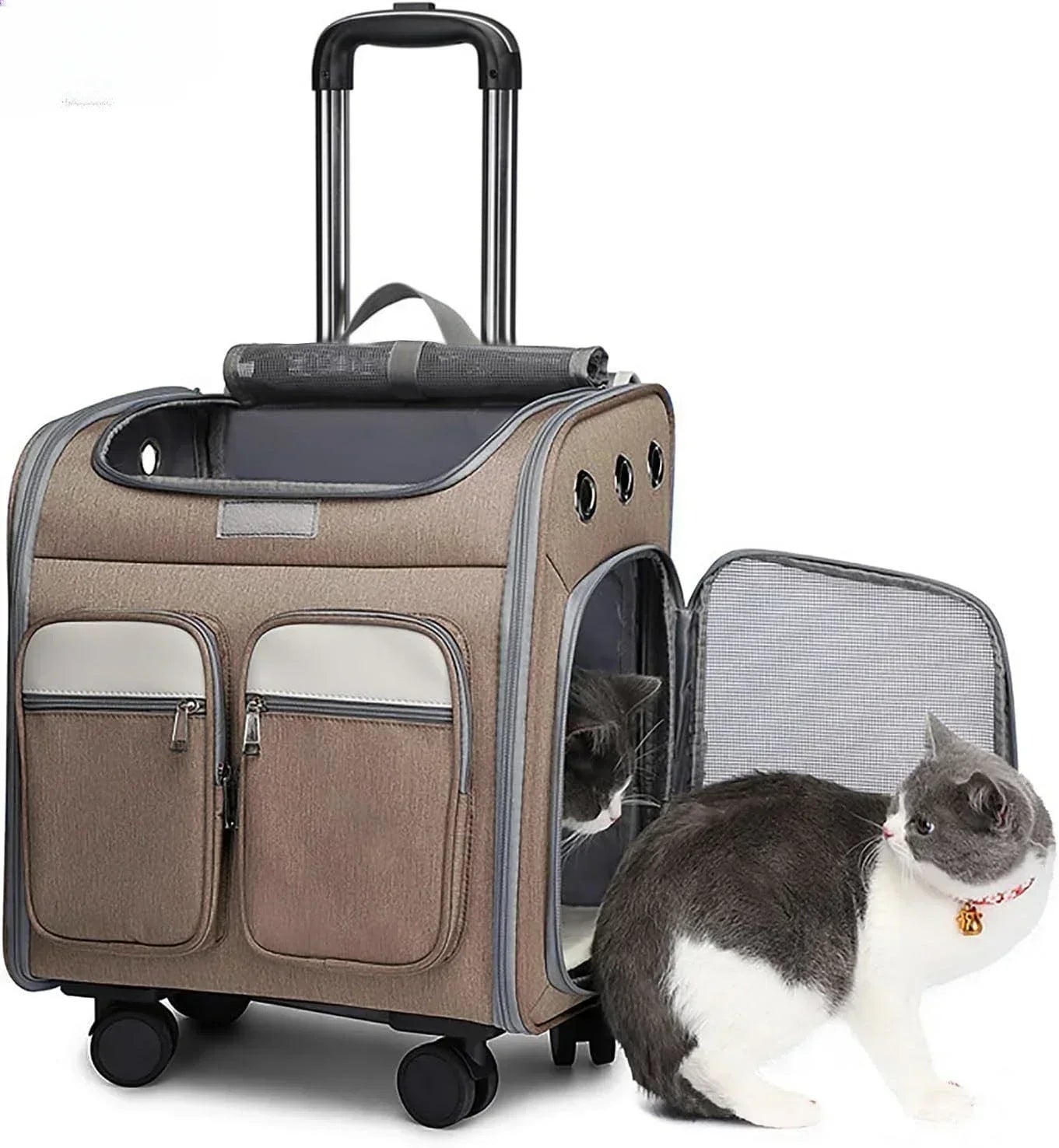 Cage transport chien- Wheeled  Backpack
