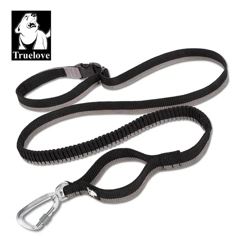 Laisse pour chien- TRUELOVE Carabiner