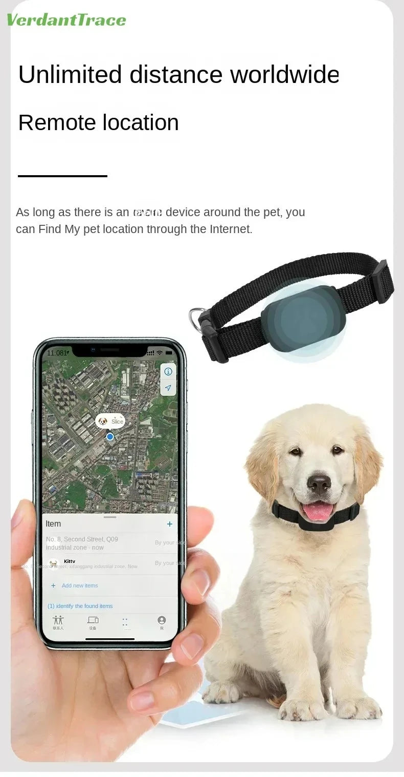 collier gps chien- Global Locator