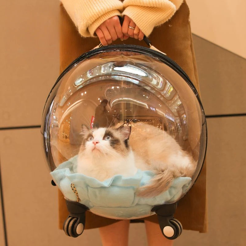 Cage de transport chien- Bulle transparente