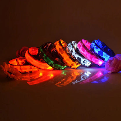 Collier chien lumineux-Camouflage LED
