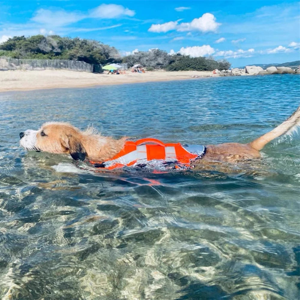 Gilet de sauvetage pour chien- Reflective Vest Swim Suit