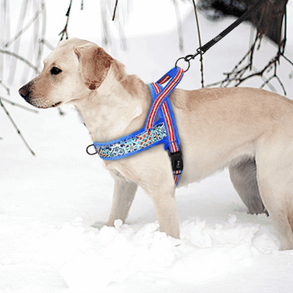 Harnais chien anti traction- No choking