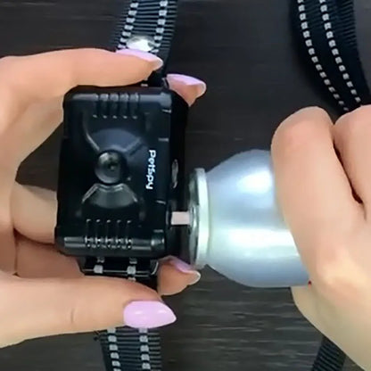 Chien collier de dressage | T500 Duo Citronnelle