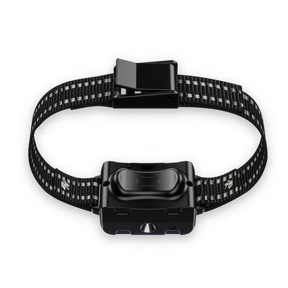 Chien collier de dressage | T500 Citronnelle