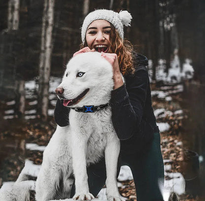 Chien collier de dressage | T500 Citronnelle