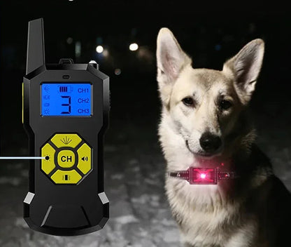 Chien collier de dressage | T500 Citronnelle