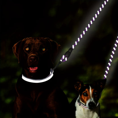 Laisse double pour chien- Taglory Reflective Dual