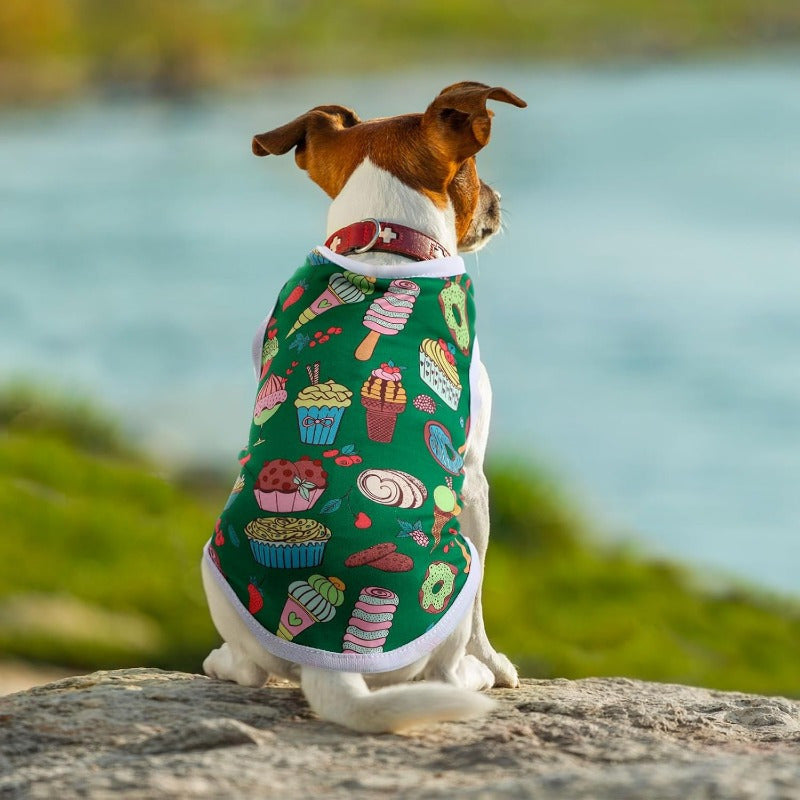 Pull pour chien | Cozy Pets 25 unités
