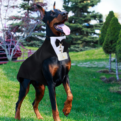 Déguisement chien | Smoking Gentleman