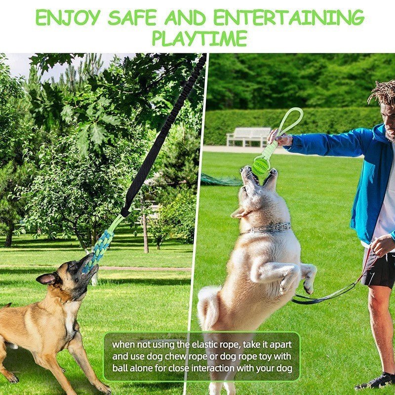 Balle pour chien - Balle corde rétractive - Le Chihuahua Voyageur