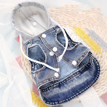 Manteau petit chien | Winter Denim Confort