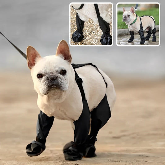 bottes-pour-chien-fix-solide