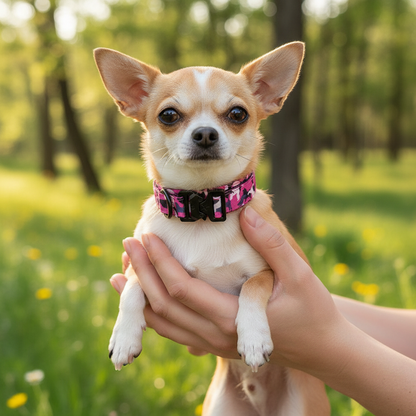 Collier de dressage pour chien- Heavy-Duty Tactical Dog Collar