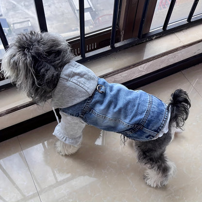 Manteau petit chien | Winter Denim Confort