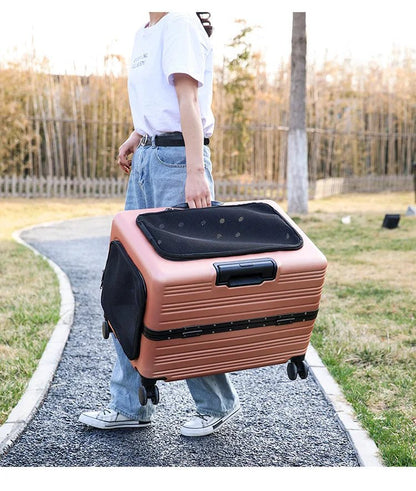 Cage pour chien - NIOPEPPA Suitcase Transparent - Le Chihuahua Voyageur