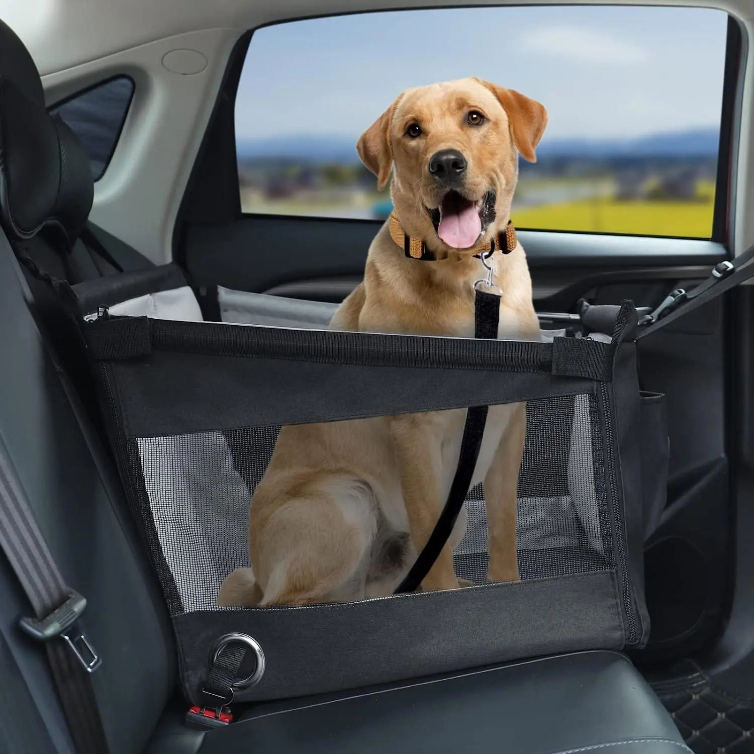 Caisse de transport chien DUTRIEUX - Le Chihuahua Voyageur